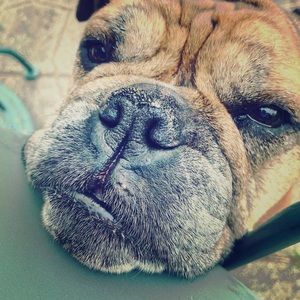 Delilah is hosting SALES!!!